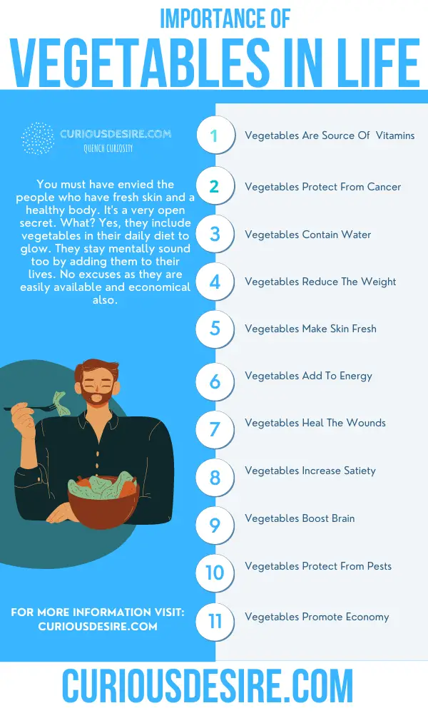 Importance of Vegetables in Human Nutrition